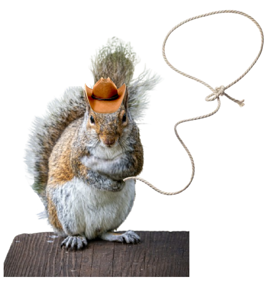 Picture of Obadiah, a squirrel in a cowboy hat